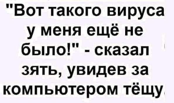 Вот такого вируса у меня ещё не было сказал зять увидев за компьютером тёщу