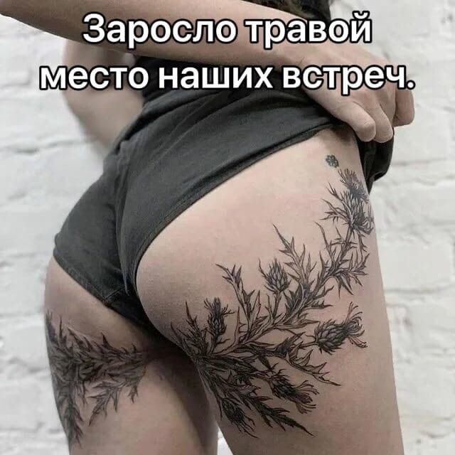 Заросли