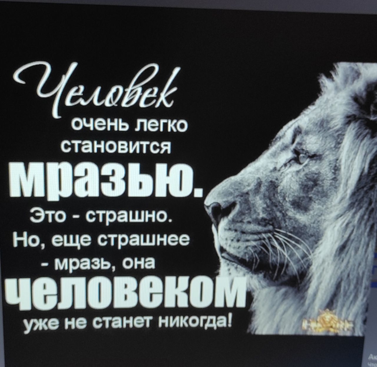 уши очень ЛЕГКО СТЕНОВИТСЯ Это страшно Но еще страшнее мразь она УКВ 0 тип НИКОГМ