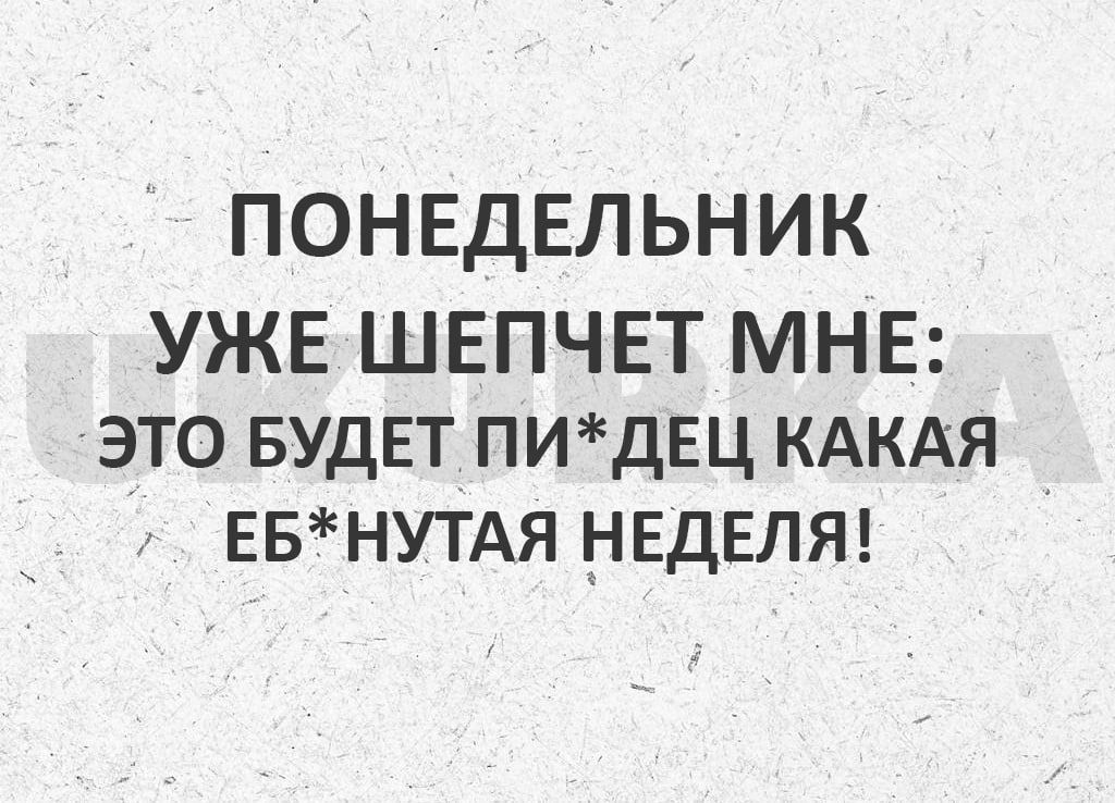 ПОНЕДЕЛЬНИК УЖЕ ШЕПЧЕТ МНЕ это БУДЕТ ПИдЕЦ КАКАЯ ЕБНУТАЯ НЕДЕЛЯ