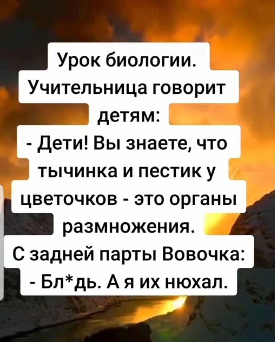 Урок биологии Учительница говорит детям Дети Вы знаете что тычинка и пестик у цветочков это органы размножения С задней парты Вовочка Блдь А я их нюхал