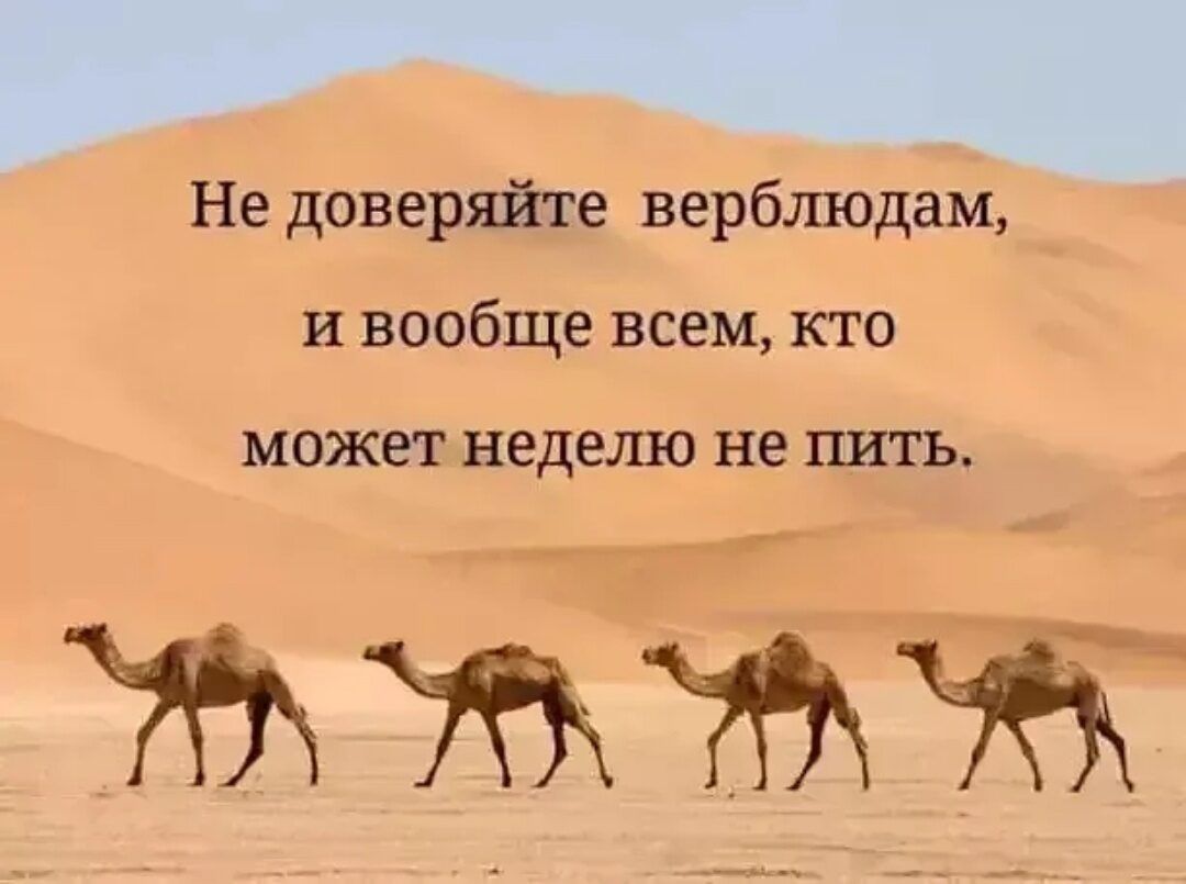 Не доверяйте вербшодшм и вообще всем кто МОЭКЭТ неделю не пить жжтът