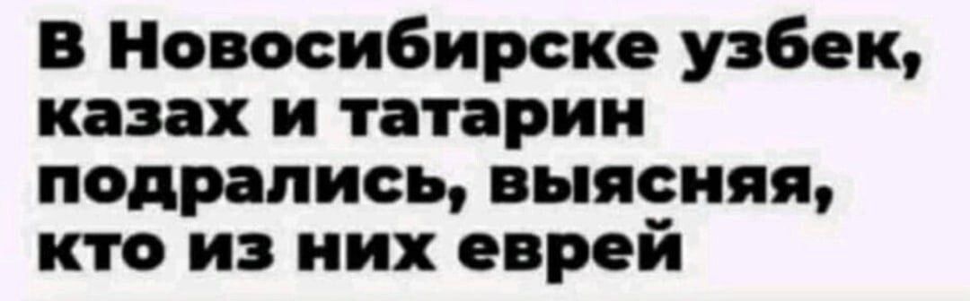 В Новосибирске узбек казах и татарин подрались выясняя кто из них еврей