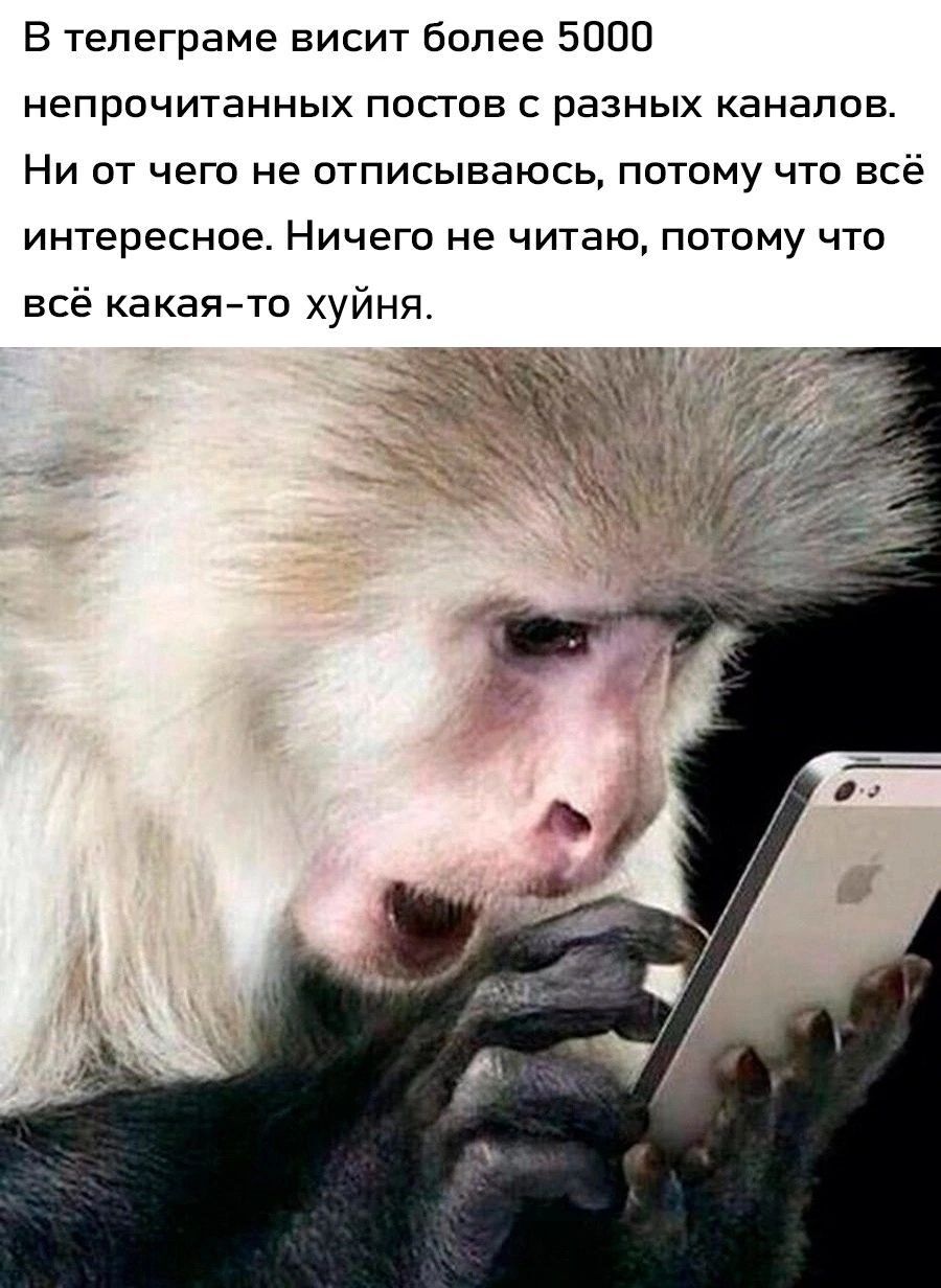В тепеграме висит более 5000 НеПрОЧИТЭННЫХ ПОСТОВ С разных КЭНЭПОВ НИ ОТ чего не ОТПИСЫВЗЮСЬ ПОТОМУ ЧТО всё интересное Ничего не читаю Потому что всё какаято хуйня