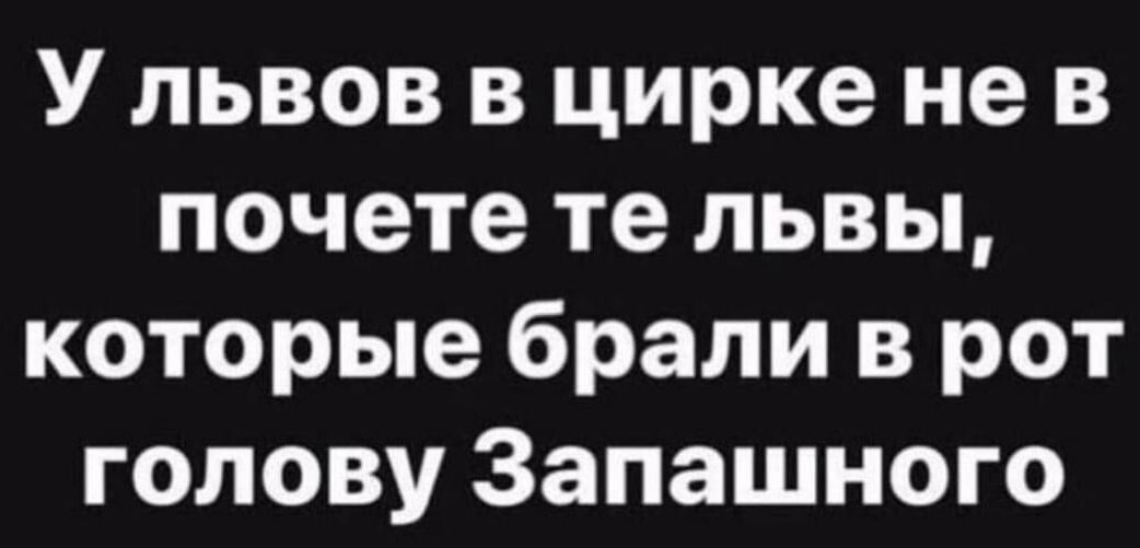 У львов в цирке не в почете те львы которые брали в рот голову Запашного