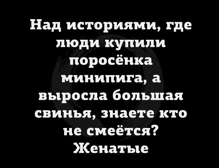 Над историями где люди купили поросёнка мииипига а выросла большая свинья знаете кто не смеётся Кенатые