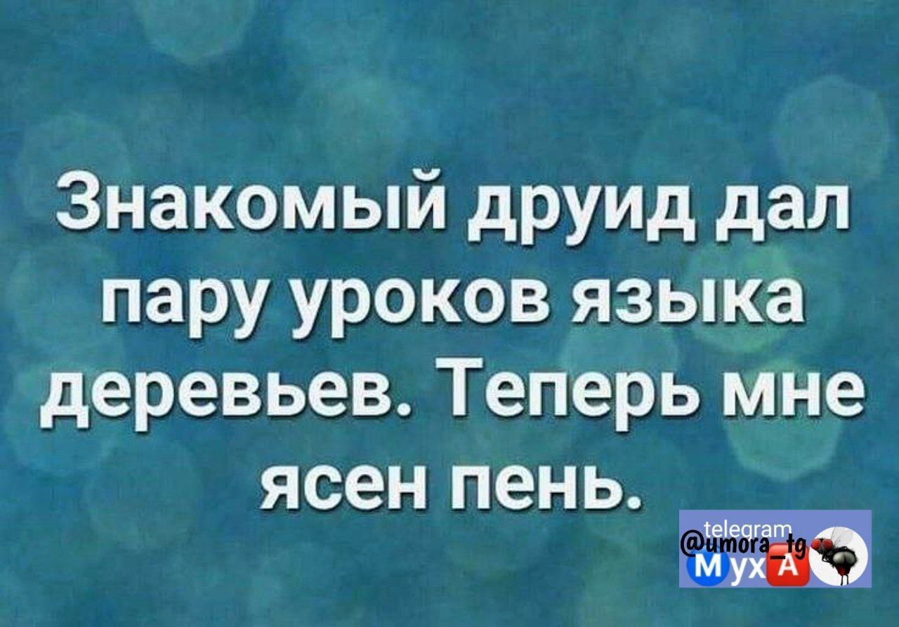 Знакомый друид дал пару уроков языка деревьев Теперь мне ясен пень