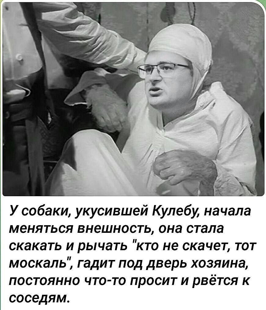 У собаки укусившей Кулебу начала меняться внешность она стала скакать И рычать КТО не скачет ТОТ москаль гадит под дверь хозяина постоянно что то просит и рвётся к соседям
