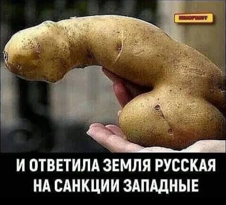 И ОТВЕТИЛА ЗЕМЛЯ РУССКАЯ НА САНКЦИИ ЗАПАДНЫЕ