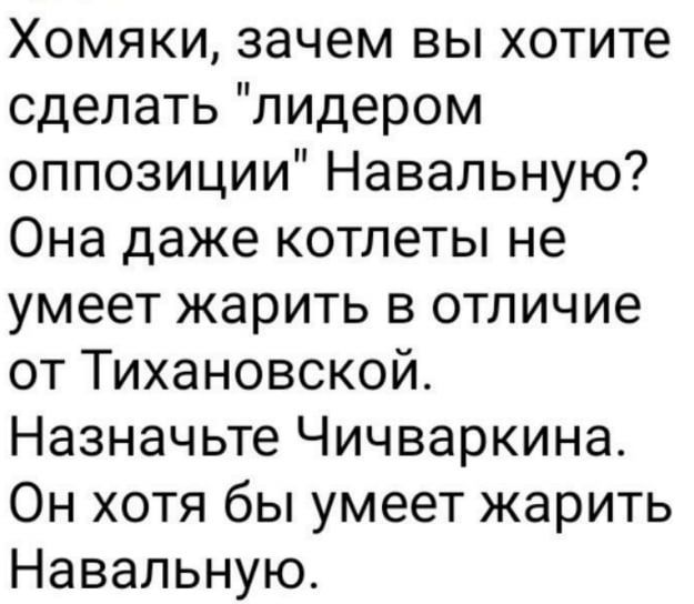 Хомяки зачем вы хотите сделать лидером оппозиции Навальную Она даже котлеты не умеет жарить в отличие от Тихановской Назначьте Чичваркина Он хотя бы умеет жарить Навальную