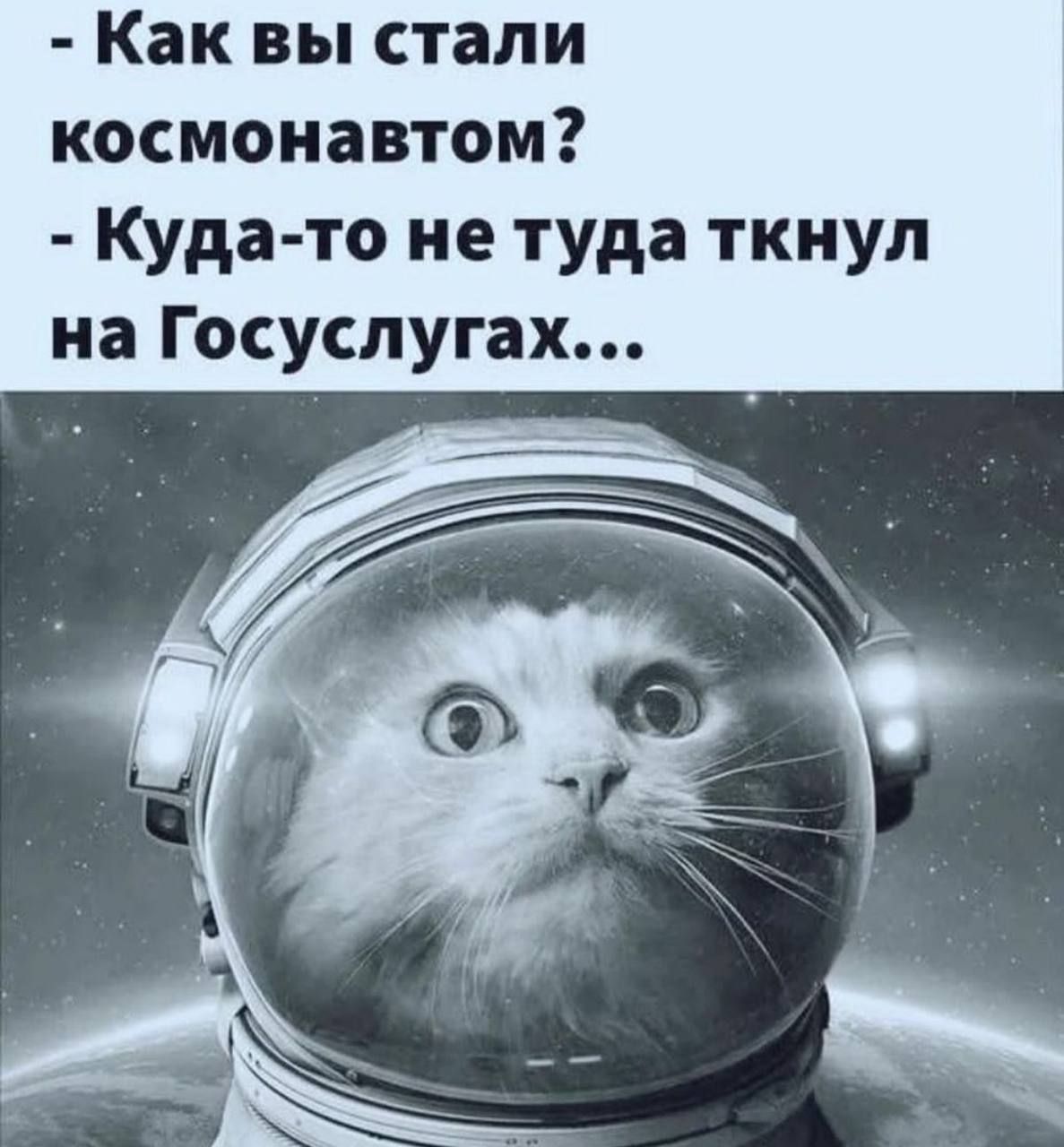 Как вы стали космонавтом Куда то не туда ткнул на Госуслугах