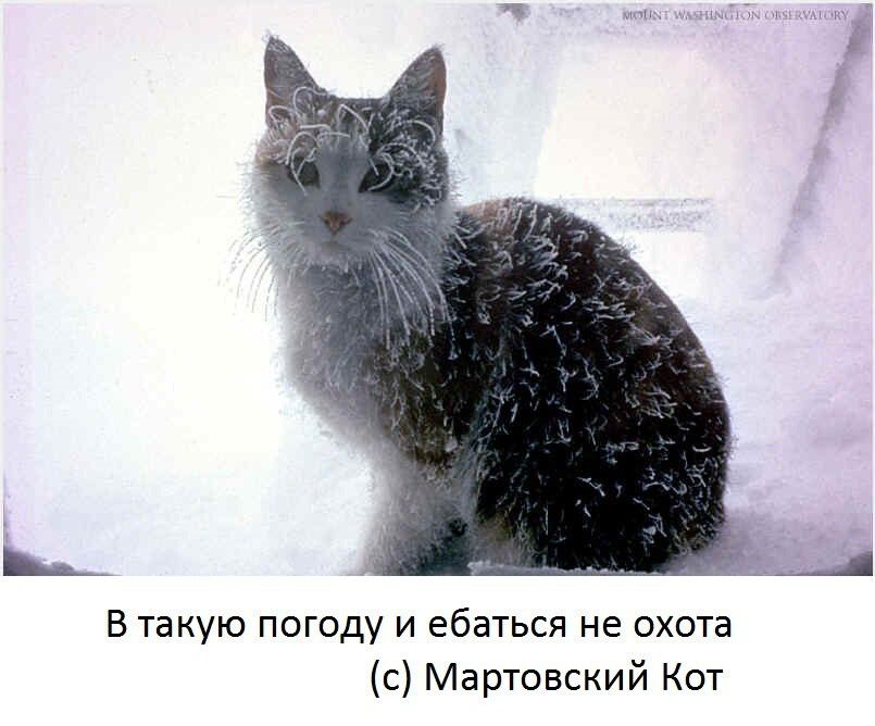 М В такую погоду и ебаться не охота с Мартовский Кот