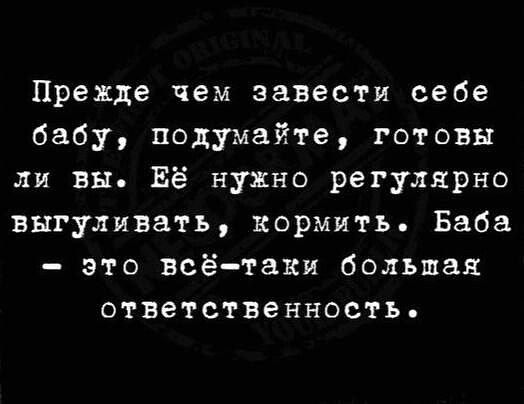 Прежде чем завести себе бабу подумайте готовы ли вы Её нужно регулярно выгуливать кормить Баба это всё таки большая ответственность