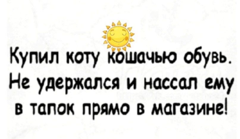 Купил коту КЬшачью обувь Не удержался и нассал ему в тапок прямо в магазине