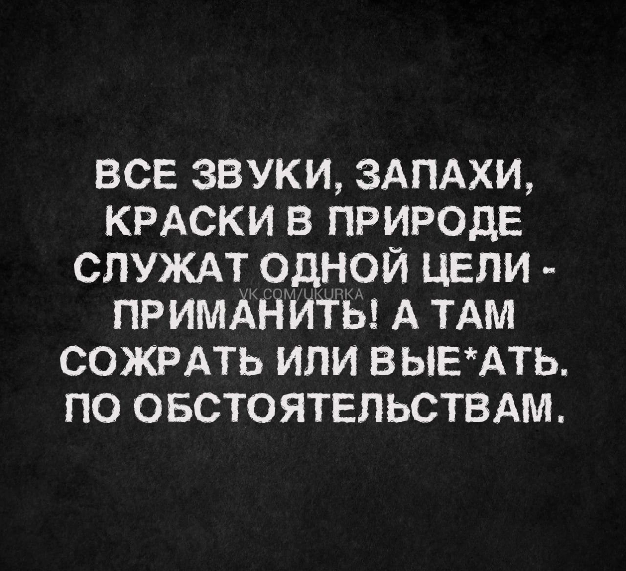 ВСЕ ЗВУКИ ЗАПАХИ КРАСКИ В ПРИРОДЕ СЛУЖАТ ОДНОЙ ЦЕЛИ ПРИМАНИТЫ А ТАМ СОЖРАТЬ ИЛИ ВЫЕАТЬ ПО ОБСТОЯТЕЛЬСТВАМ