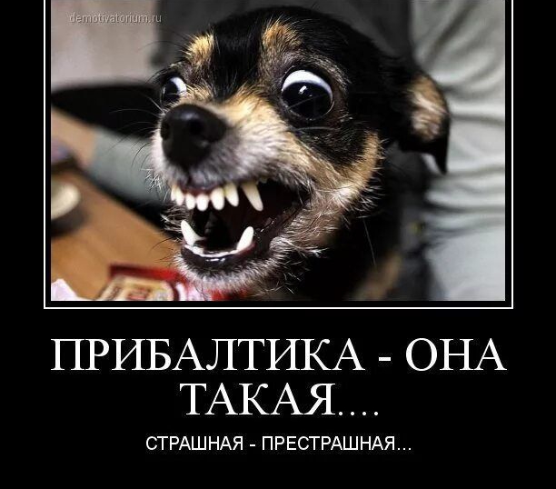 ПРИБАЛТШСА ОНА ТАКАЯ СТРАШНАЯ ПРЕСГРАШНАЯ
