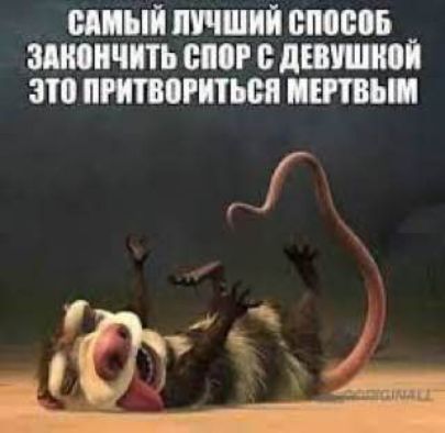 НПБП ЛУЧШИЙ 805 В В ДЕВУШКОЙ 311 ППШРПЪМ ШЕП