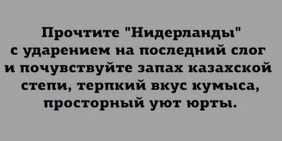 Прочтите Нидерланды с ударением на последний слог и почувствуйте запах казахской степи терпкий вкус кумыса просторный уют юрты