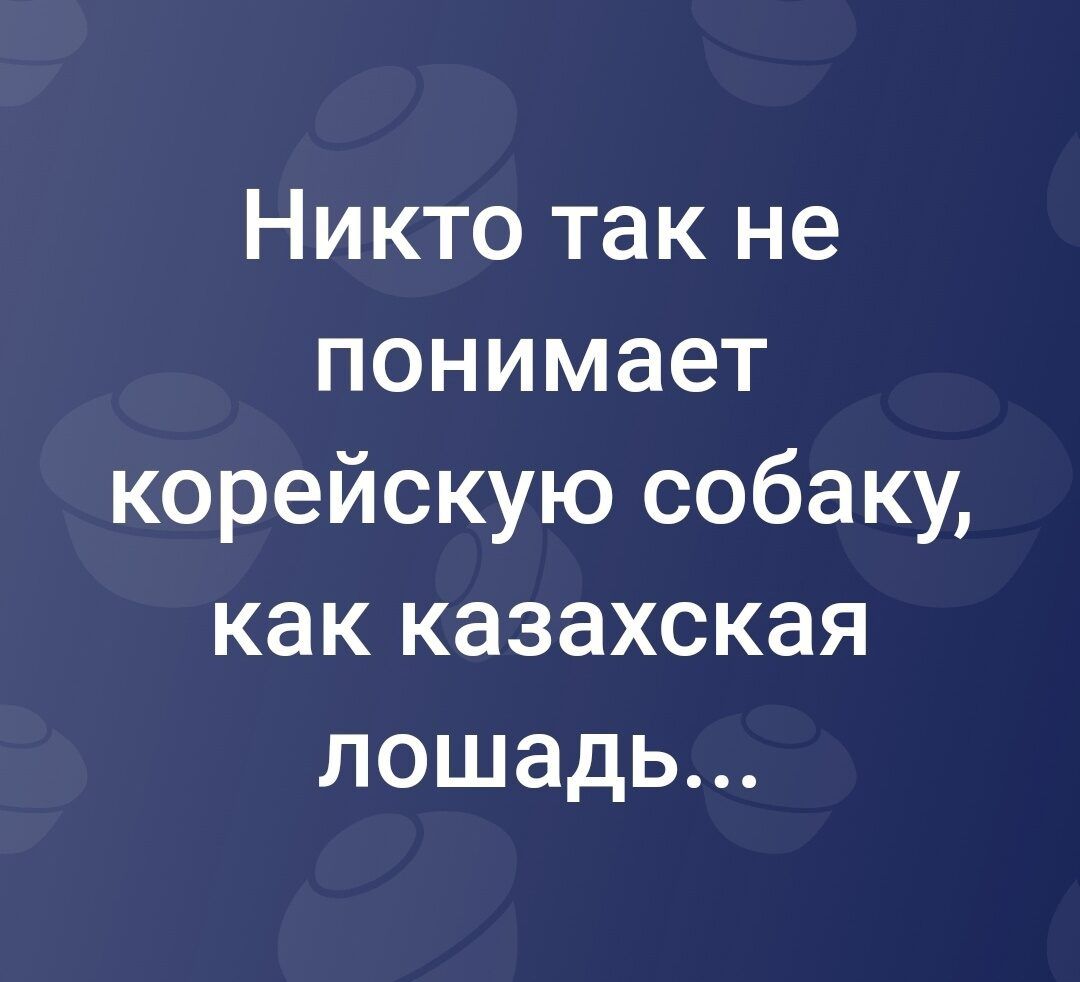Никто так не понимает корейскую собаку как казахская лошадь