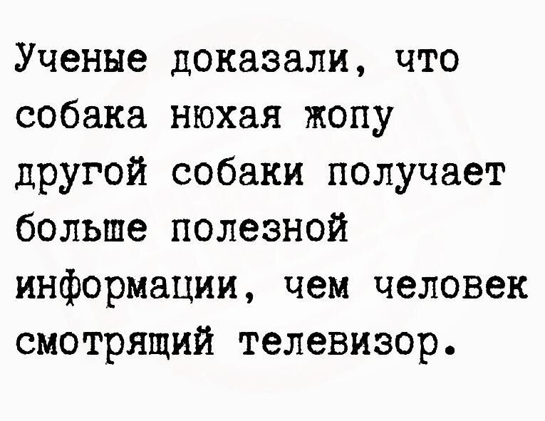 Ученые доказали что собака нюхая жопу другой собаки получает больше полезной информации чем человек смотрящий телевизор