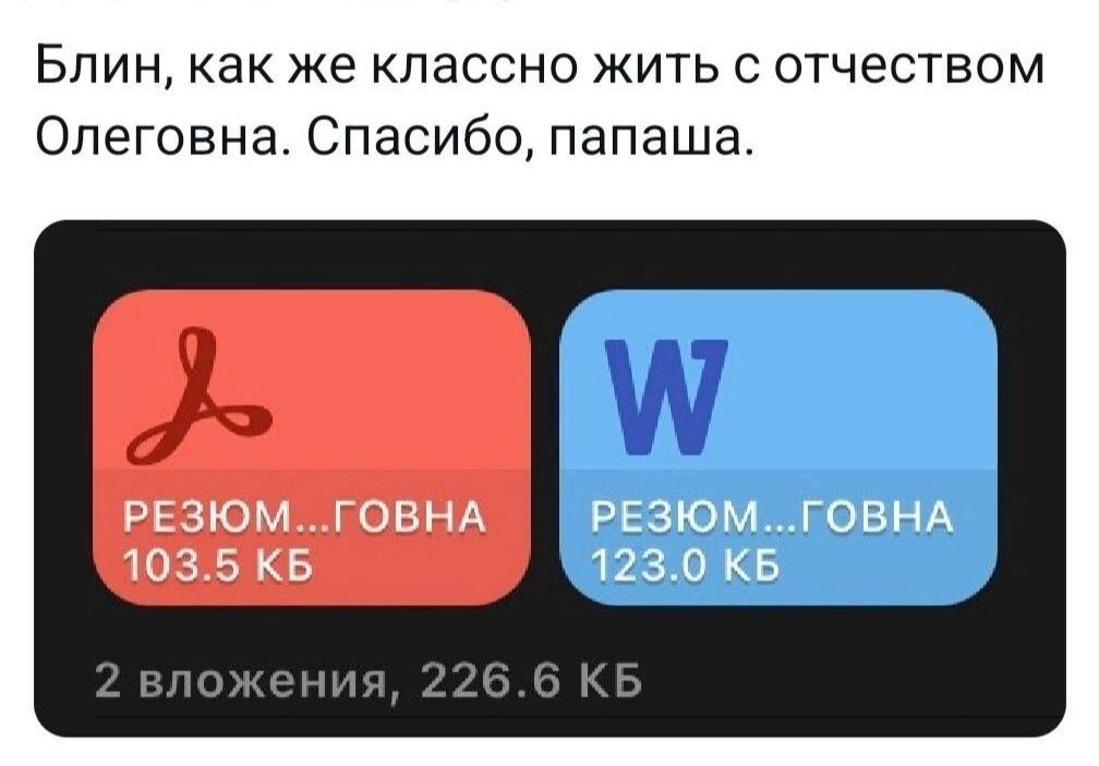Блин как же классно жить с отчеством Олеговна Спасибо папаша РЕЗЮМ ОБНА 1035 КБ