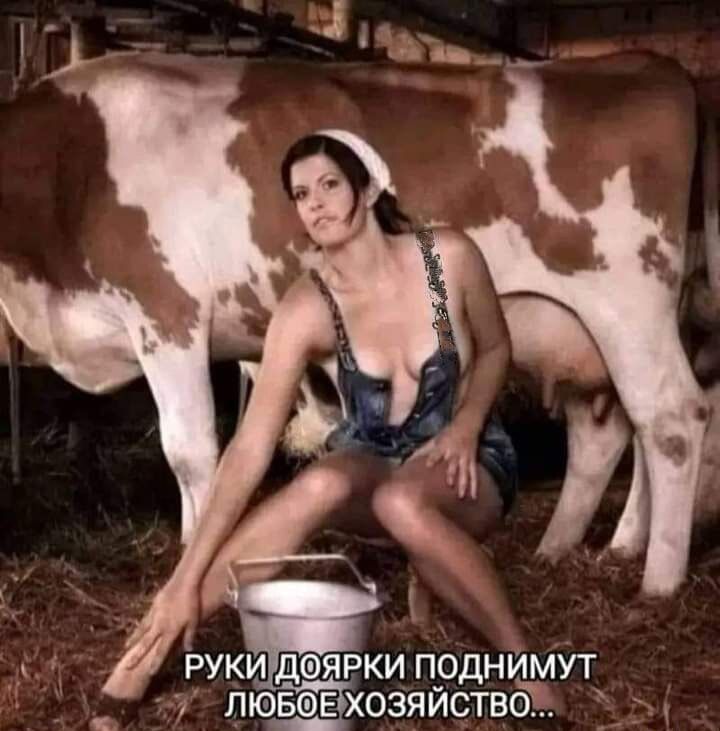руки даярки поднщмут лювэЕ хозяйство