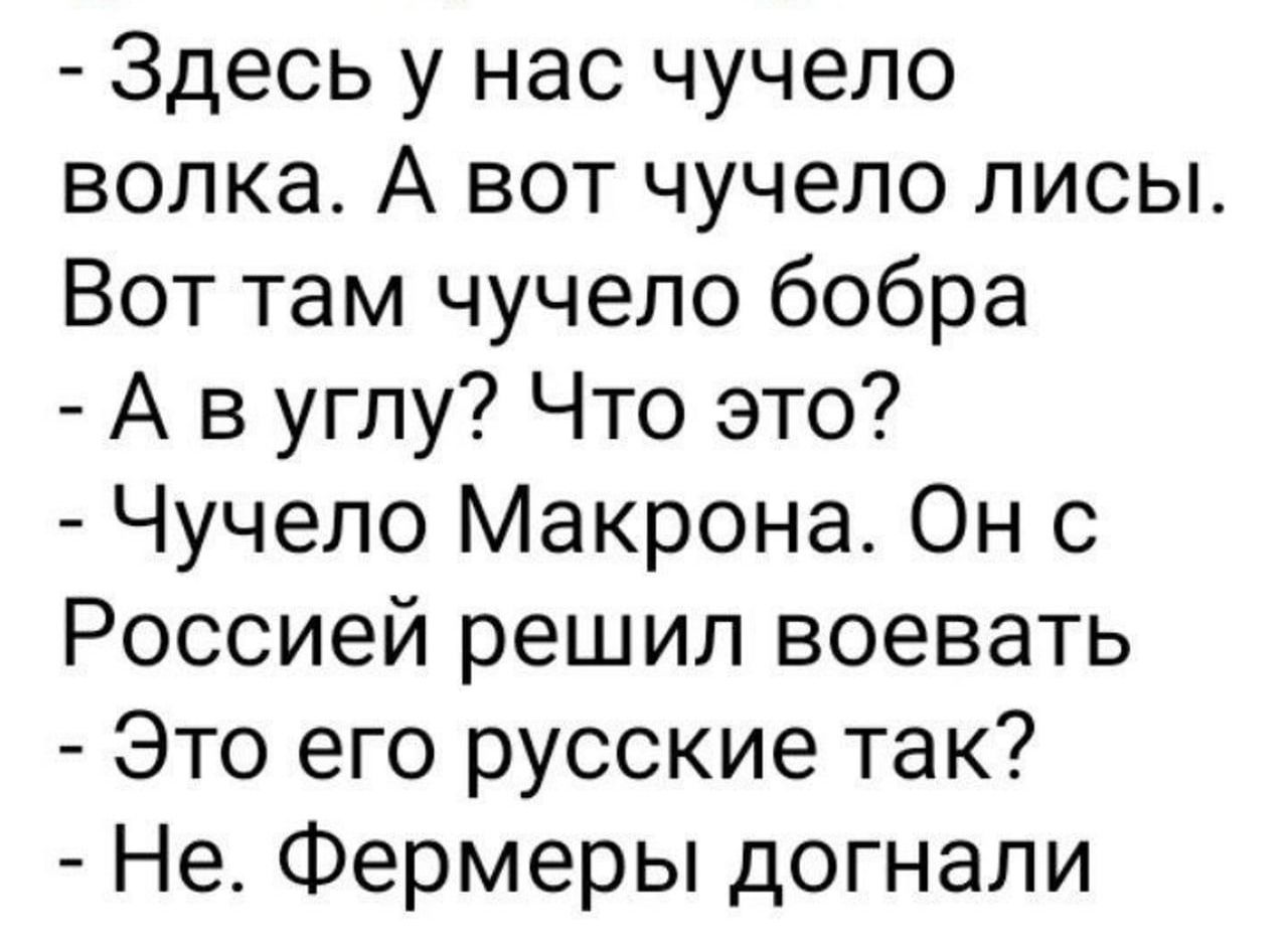 Здесь у нас чучело волка А вот чучело лисы Вот там чучело бобра А в углу Что это Чучело Макрона Он с Россией решил воевать Это его русские так Не Фермеры догнали
