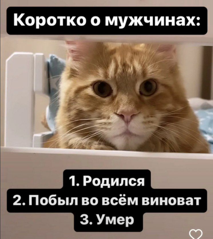 Коротко о мужчинах 1 Родился 2 Побыл во всём виноват