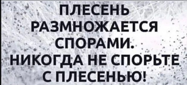 ПЛЕСЕНЬ РАЗМНОЖАЕТСЯ СПОРАМИ НИКОГДА не спорьт СПЛЕСЕНЬЮ