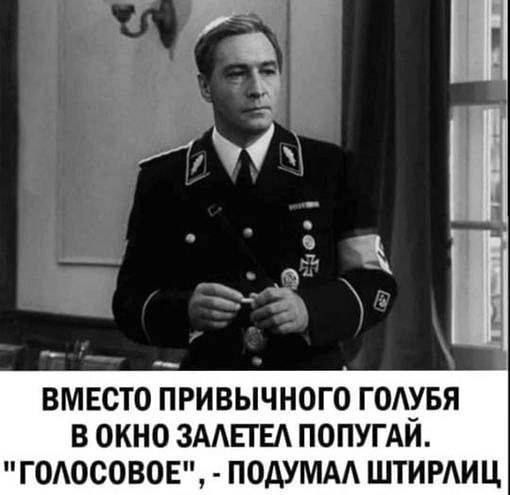 ВМЕСТО ПРИВЫЧНОГО ГОАУБЯ В ОКНО ЗААЕГЕА ПОПУГАЙ ГОАОСОВОЕ ПОДУМАА ШТИРАИЦ