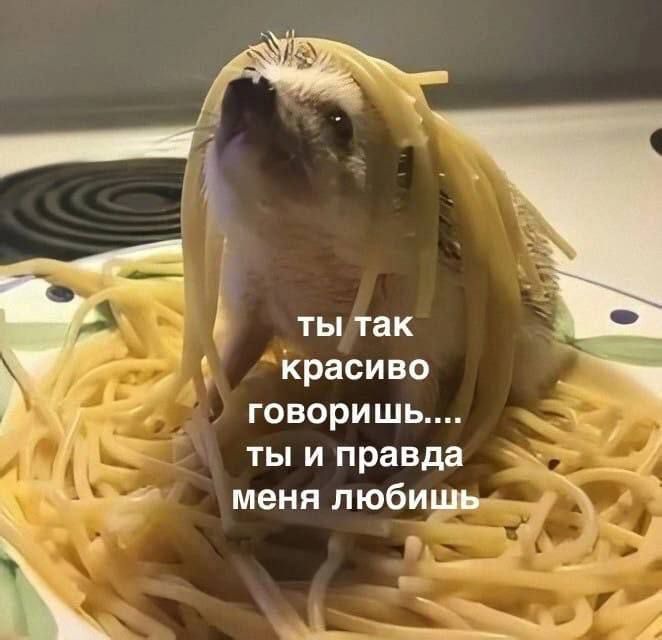 5 ты так красиво 7 говоришь ты и правда меня любиць