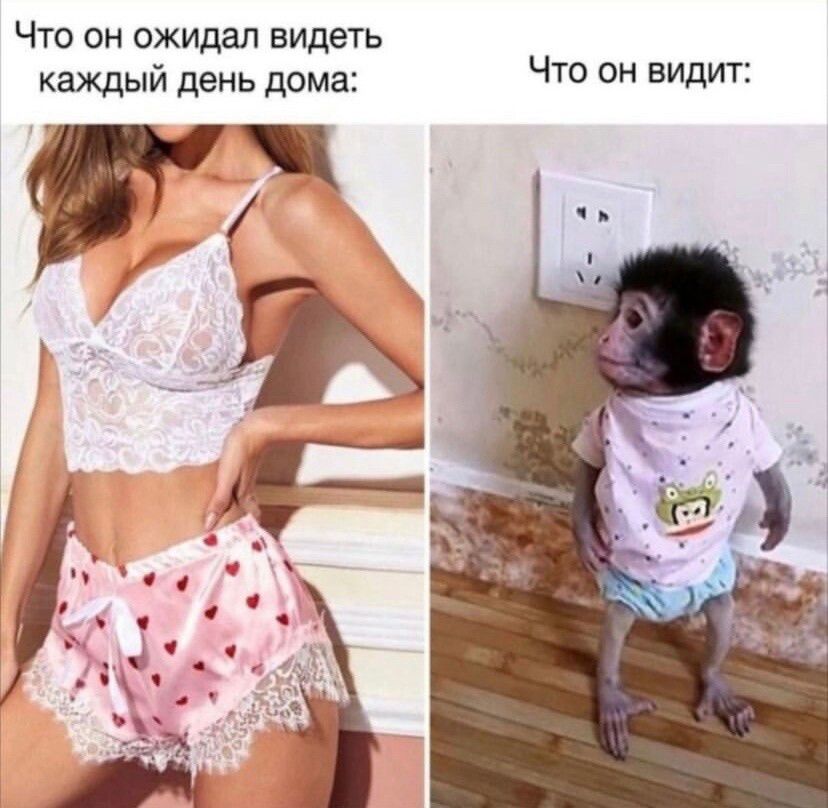 Что пн ожидал видеть каждый день дома ЧТО ОН ВИдИТ