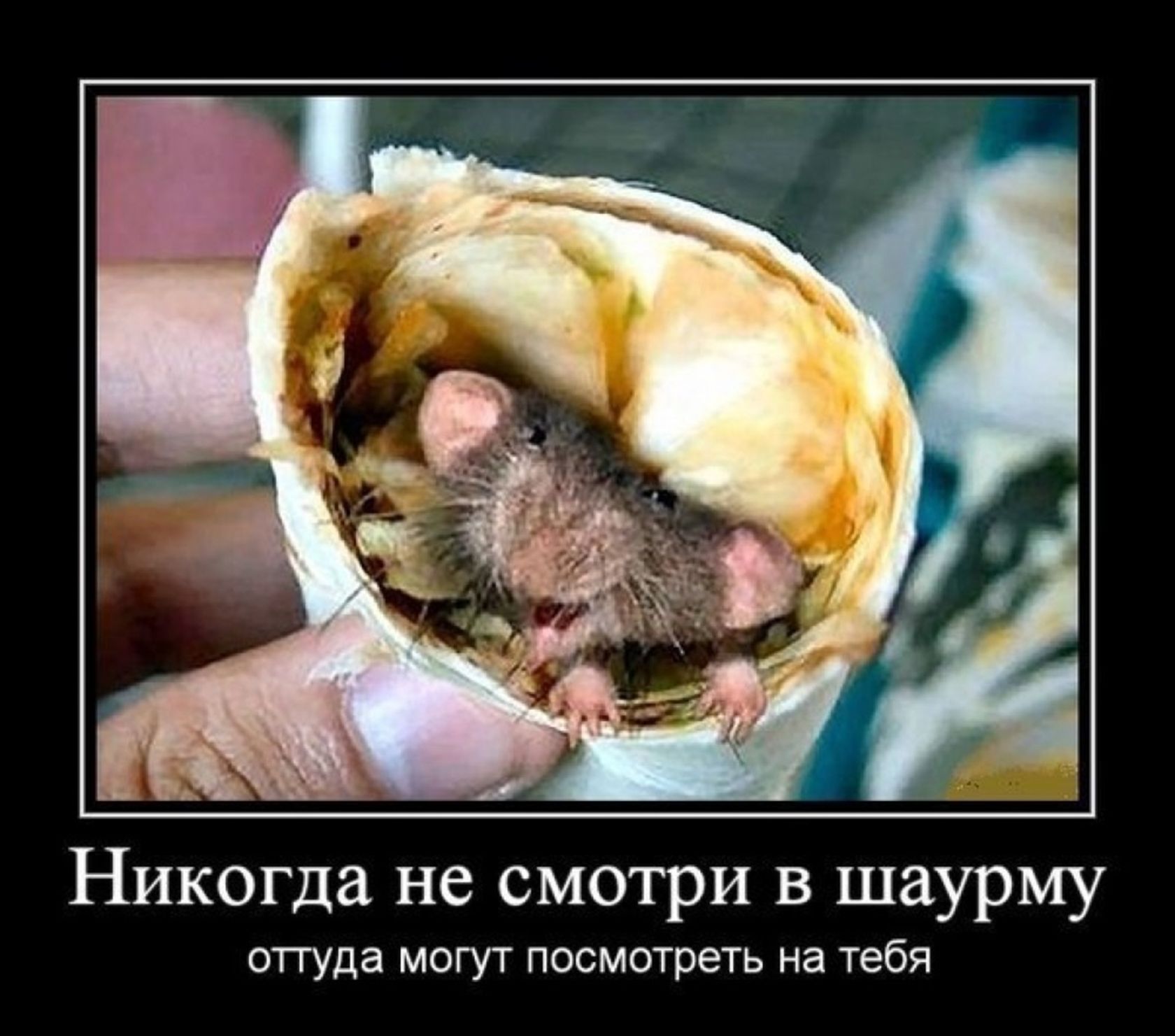 Никогда не смотри в шаурму оттуда могут посмотреть на тебя
