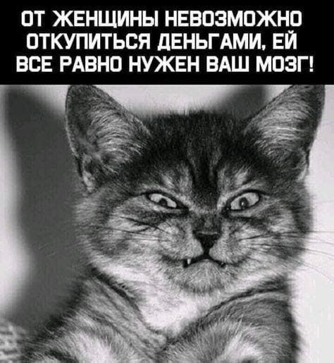 ОТ ЖЕНЩИНЫ НЕВОЗМОЖНО ОТКУПИТЬСЯ ЦЕНЬГАМИ ЕЙ ВСЕ РАВНО НУЖЕН ВАШ МОЗГ