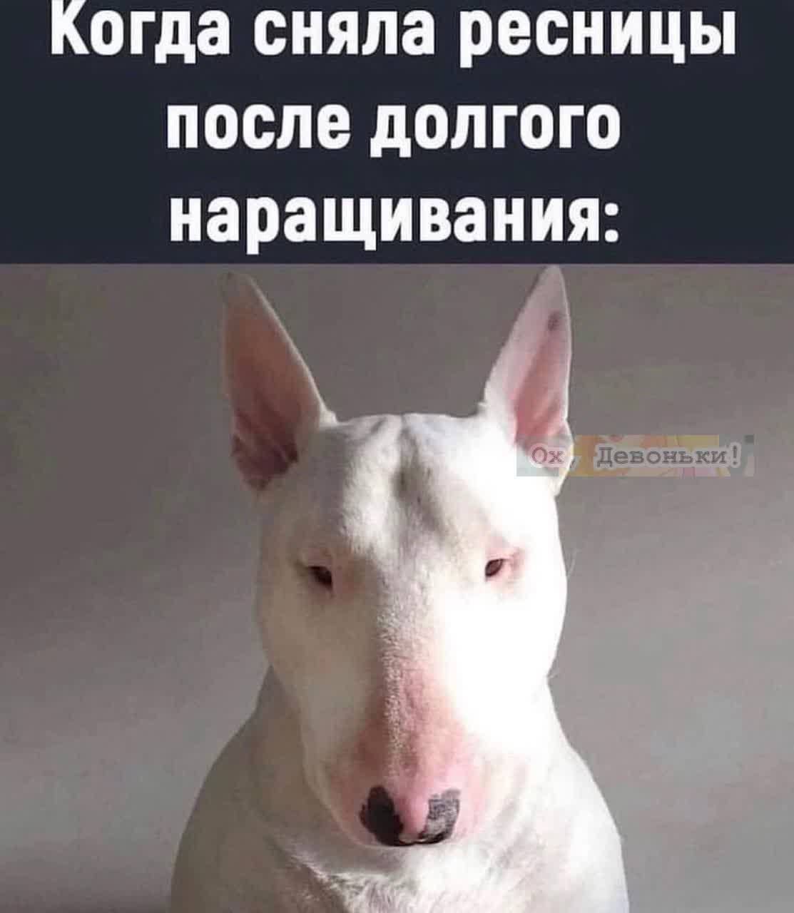 Когда сняла ресницы после долгого наращивания