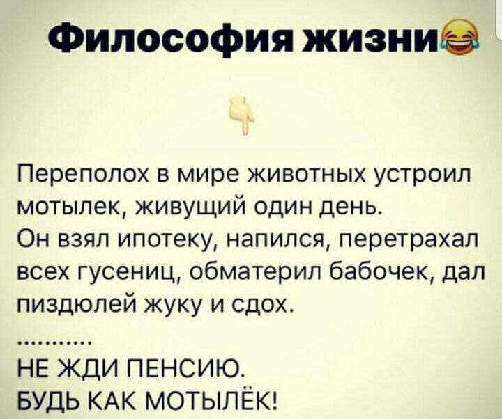 Философия жизииэ Переполох В мире ЖИВОТНЫХ устроил мотыпек живущий один день Он взял ипотеку напился перетрахап всех гусениц обматерил бабочек дап пиздюпей жуку и сдох НЕ ЖДИ ПЕНСИЮ БУДЬ КАК МОТЫПЁК