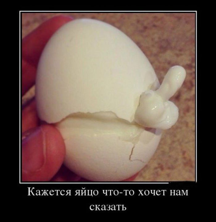 Кажется яйцо чтогто хочет нам сказать