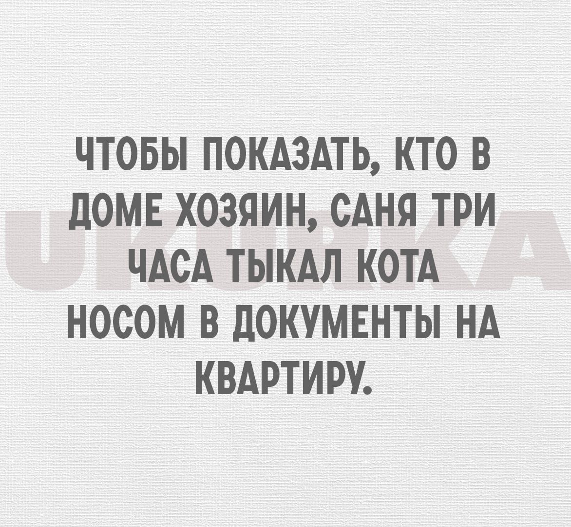 ЧТОБЫ ПОКАЗАТЬ КТО В дОМЕ ХОЗЯИН САНЯ ТРИ ЧАСА ТЫКАЛ КОТА НОООМ В ЦОКУМЕНТЫ НА КВАРТИРУ