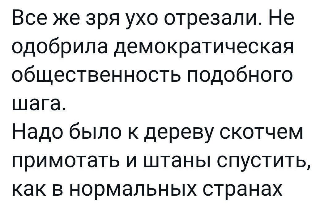 Все же зря ухо отрезали Не одобрила демократическая общественность подобного шага Надо было к дереву скотчем примотать и штаны спустить как в нормальных странах