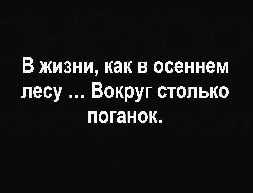 В жизни как в осеннем лесу Вокруг столько поганок