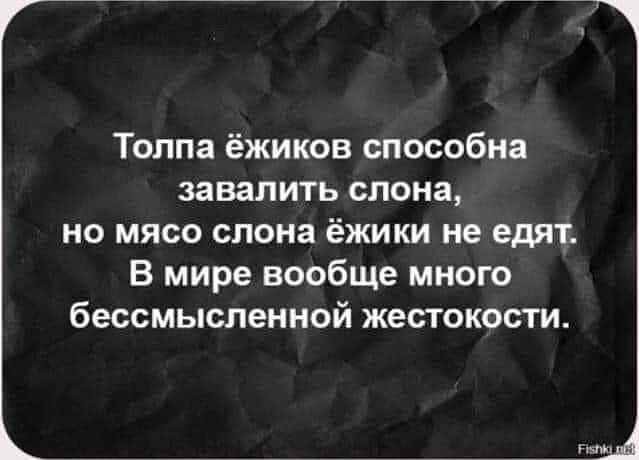 Толпа ёЖИКОВ способна завалить слона но мясо слона ёжики не едят В мире вообще много бессмысленной ЖеСТОКОВТИ