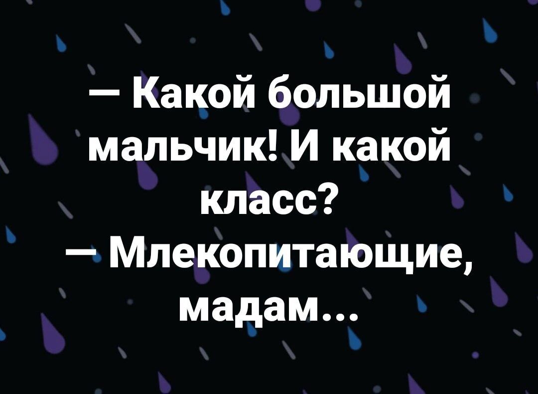 ь Какой большой мальчик И какой класс Млекопитающие мадам