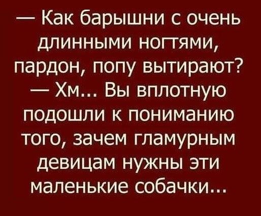 Как барышни с очень длинными ноггями пардон попу вытирают Хм Вы вплотную подошли к пониманию того зачем гламурным девицам нужны эти маленькие собачки