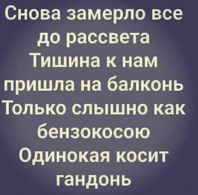 Снова замерло все до рассвета Тишина к нам пришла на балконь Только слышно как бензокосою Одинокая косит гандонь