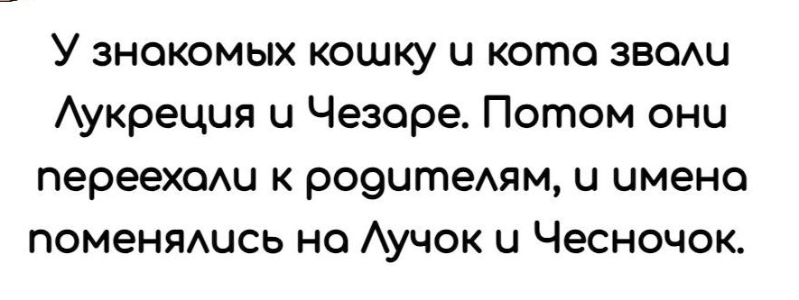 У знакомых кошку ц кото заош Аукрецця и Чезаре Потом они переехомд к ро9итемм и имено поменяшсь но Аучок и Чесночок