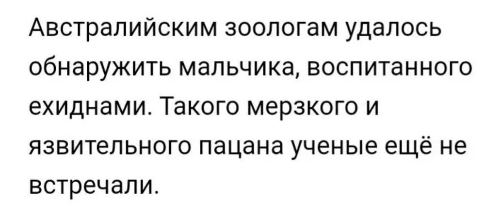 АВСТРЗЛИЙСКИМ ЗООЛОГЗМ УДЭПОСЬ обнаружить мальчика ВОСПИТЭННОГО ехиднами Такого МЕРЗКОГО И ЯЗВИТЕЛЬНОГО пацана ученые ещё не встречали