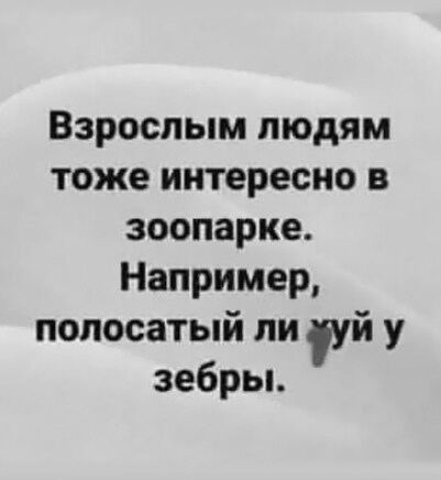 Взрослым людям тоже интересно в зоопарке Например полосатый ли уй у зебрьь