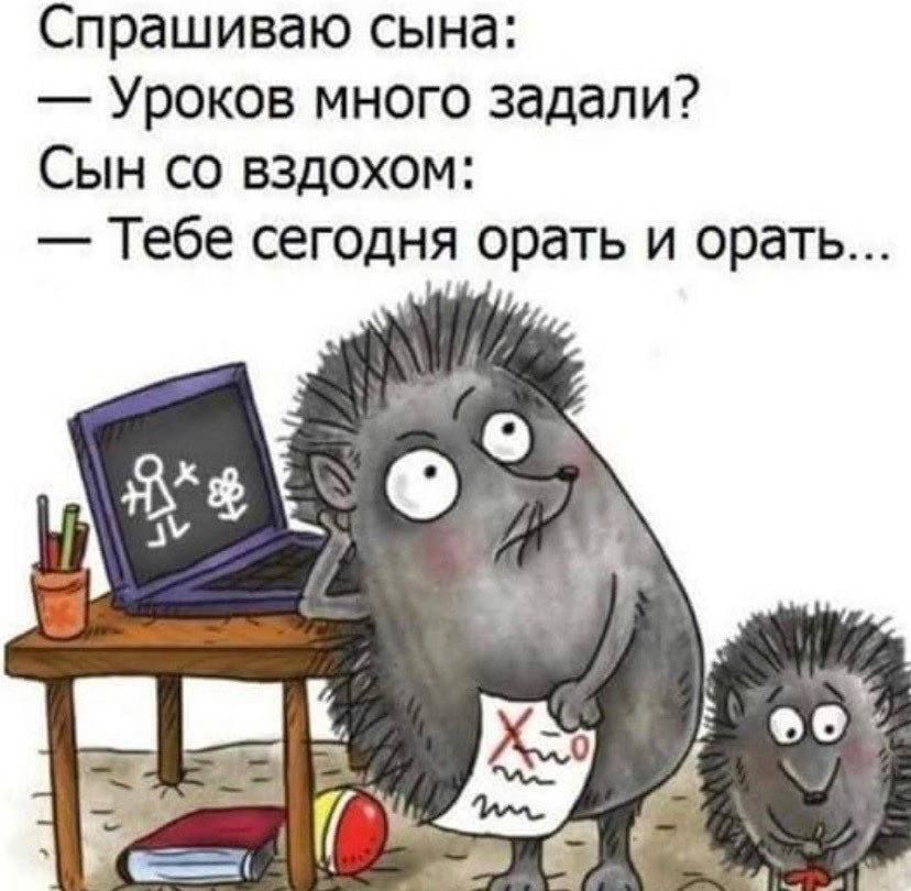 Спрашиваю сына Уроков много задали Сын со вздохом Тебе сегодня орать и орать