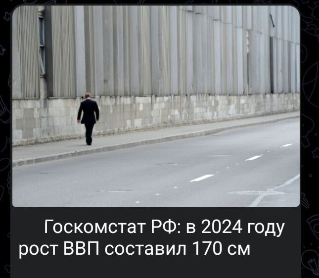 Госкомстат РФ в 2024 году рост ВВП составил 170 см