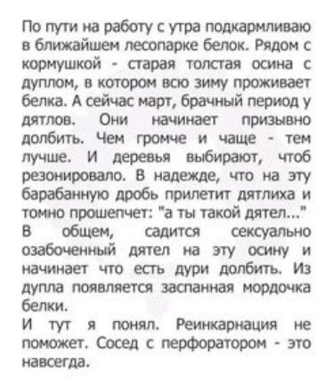 Попугииаработусуграппмармпш аблюкайшэчюоопархебеюктядомс корнушюой старая толстая осина дут пцвкотвршщозииу про пинает Асейчасюшбрачмйпериолу дятлов Они паштет признаю подбить Чем громче и чаще тен пучт и деревья выбирает чтоб 0 В что на эту барабащюлробьпримттдятиви пащтакой44 В тел на эту сому и начинает что есть дури долбить и дупла шинная белки И тут я понял Реинкарнация не пжжетСоседсперФорат
